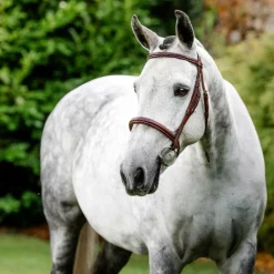 Horseware - Bridon Cavesson Hunter avec rênes dark tan