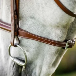 Horseware - Bridon Cavesson Hunter avec rênes dark tan