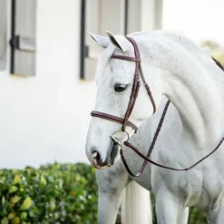 Horseware - Bridon Cavesson Hunter Pony avec rênes dark tan