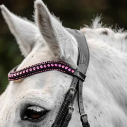 Horseware - Bridon Diamante Pony Flash noir/ rose