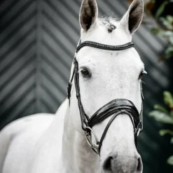 Horseware - Bridon Diamante Flash noir/ noir