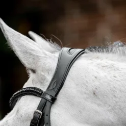 Horseware - Bridon Diamante Flash noir/ noir