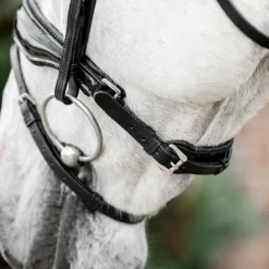 Horseware - Bridon Diamante Flash noir/ noir