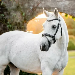 Horseware - Bridon Dressage Pony Flash noir