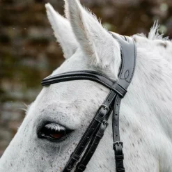 Horseware - Bridon Dressage Pony Flash noir