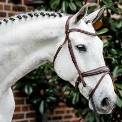 Horseware - Bridon Dressage Flash marron