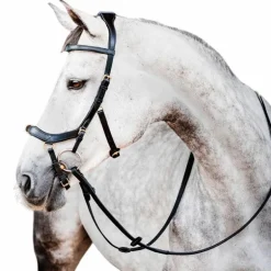 Horseware - Bridon Micklem 2 multibride noir
