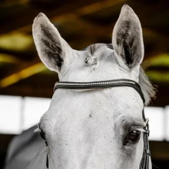 Horseware - Bridon Micklem Diamante Competition noir