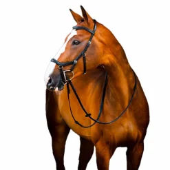 Horseware - Bridon Rambo Micklem 2 Deluxe Competition avec rênes noir