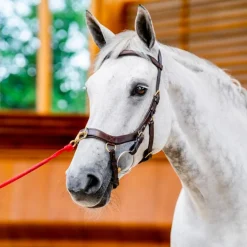 Horseware - Bridon Rambo Micklem 2.0 multibride havane