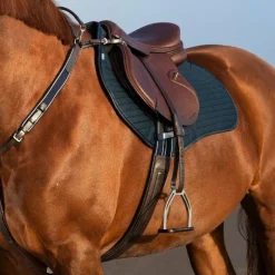 Horseware - Collier de chasse et martingale Micklem marron