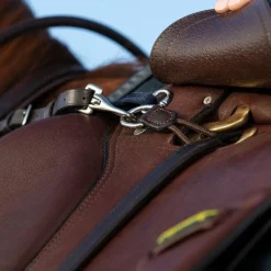 Horseware - Collier de chasse et martingale Micklem marron