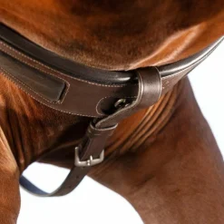 Horseware - Collier de chasse et martingale Micklem marron