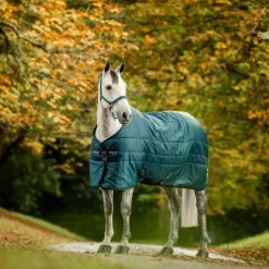 Horseware - Couverture de box Amigo Ripstop Insulator dynasty green/ marine/ argent 100g