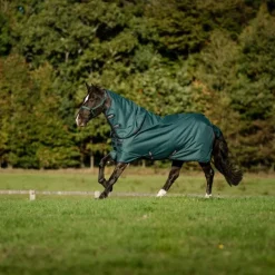 Horseware - Couverture d'extérieur Amigo Ripstop Plus Turnout dynasty green/ marine/ argent 0g