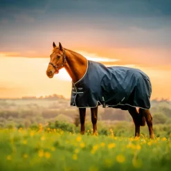 Horseware - Couverture d'extérieur Amigo Ripstop Turnout doublé polaire witney navy 50g