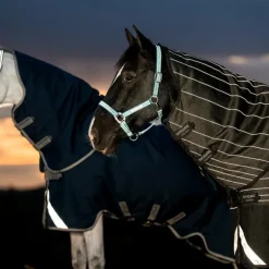 Horseware - Couverture d'extérieur Amigo FieldSafe Plus Turnout marine/ titanium grey/ argent 50g