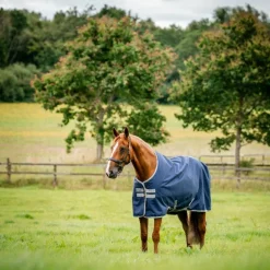 Horseware - Couverture d'extérieur Amigo Ripstop 900 Original marine/ titanium grey 0g