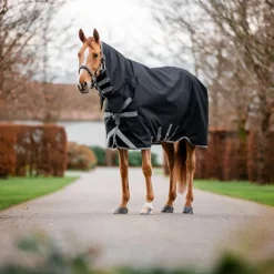 Horseware - Couverture d'extérieur Amigo Bravo Integrated Turnout noir/ titanium grey/ argent 150g