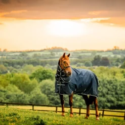 Horseware - Couverture d'extérieur Amigo Ripstop Plus Pony Turnout witney navy 100g