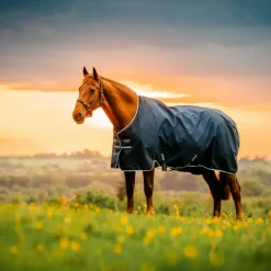 Horseware - Couverture d'extérieur Amigo Ripstop Pony Turnout witney navy 200g