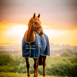 Horseware - Couverture d'extérieur Amigo Ripstop Pony Turnout witney navy 200g