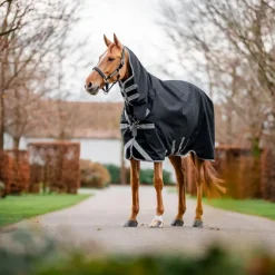 Horseware - Couverture d'extérieur Amigo Bravo Integrated Turnout noir/ titanium grey/ argent 50g