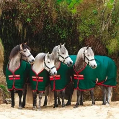 Horseware - Couverture d'extérieur Rambo Original vert/ rouge 0g