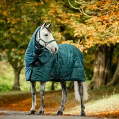 Horseware - Couvre-cou couverture de box Amigo Ripstop Insulator dynasty green/ marine/ argent 100g