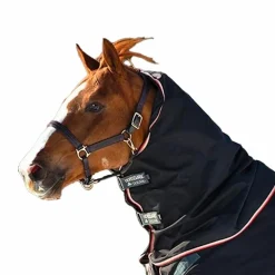 Horseware - Couvre-cou pour couverture Rambo Optimo noir/ orange 0g