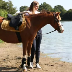 Horseware - Guêtres fermées Adagio noir x2