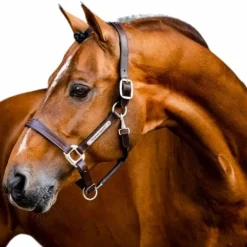 Horseware - Licol en cuir Signature marron