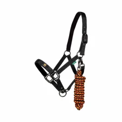 Horseware - Licol et longe Newmarket witney gold