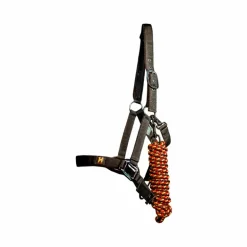 Horseware - Licol et longe Newmarket witney gold