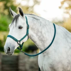 Horseware - Licol et longe dynasty green