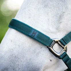 Horseware - Licol et longe dynasty green