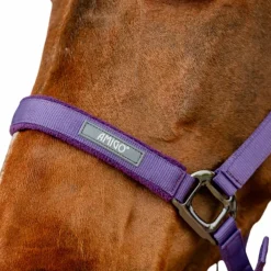 Horseware - Licol et longe Amigo winterberry