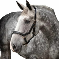 Horseware - Licol pour chevaux en cuir Rambo Micklem noir