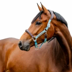 Horseware - Licol pour chevaux Signature Competition marron/ blue haze