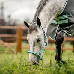 Horseware - Licol spécial pâturage Field Safe blue haze