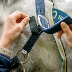 Horseware - Licol spécial pâturage Field Safe marine