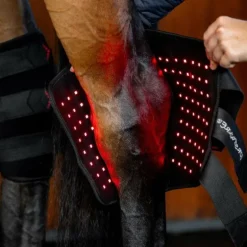 Horseware - Protège-jarret thérapeutique lumière rouge LED (x1)