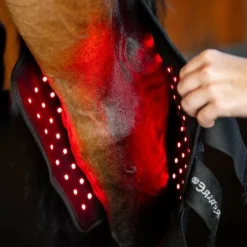 Horseware - Protège-jarret thérapeutique lumière rouge LED (x1)