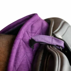 Horseware - Tapis de selle Amigo GP winterberry