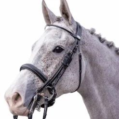 Jump'In - Bride vernie avec rênes