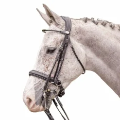 Jump'In - Bride vernie avec rênes