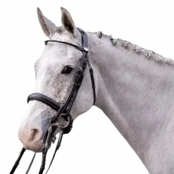 Jump'In - Bride vernie avec rênes