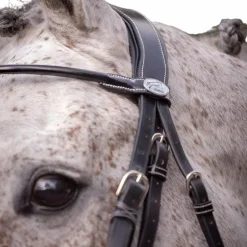 Jump'In - Bride vernie avec rênes