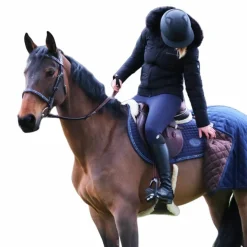 Jump'In - Bridon Carat collection One premium havane/ bleu