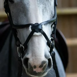 Jump'In - Bridon muserolle croisée Evolution noir